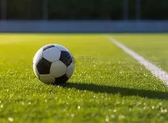 曼联主帅人,选传闻,范尼有望执,UED,ued,UED官网,UED体育官网,UED体育下载,UEDAPP